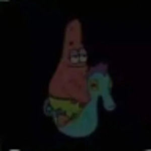 Meet your Posher, Rhayne